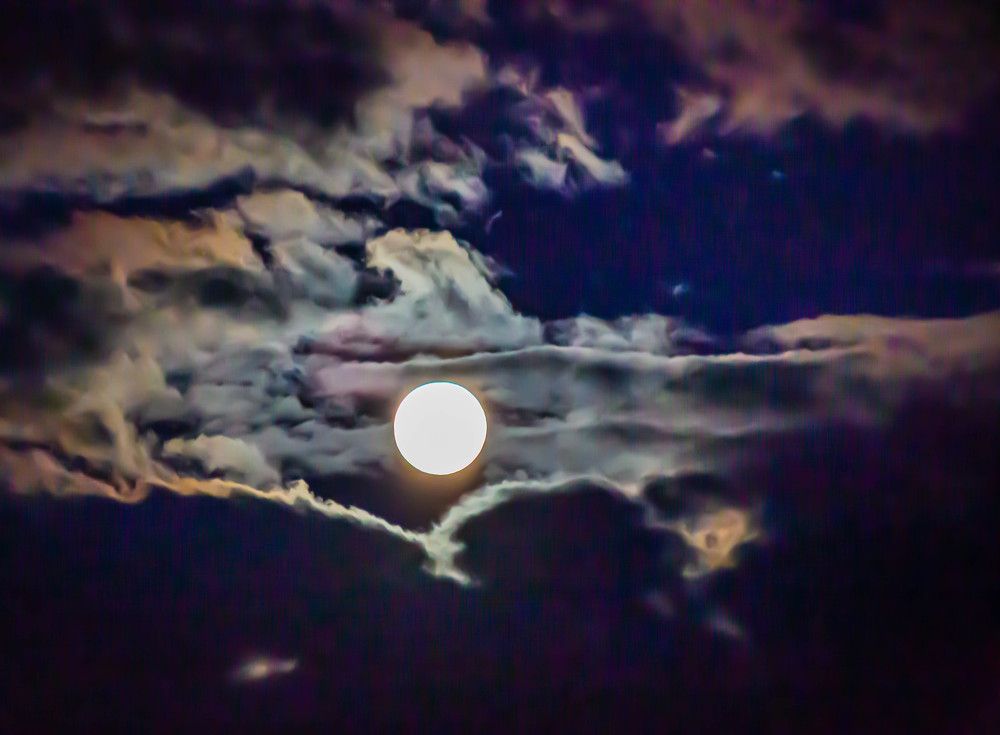 Photograph by Ольга Сафронова