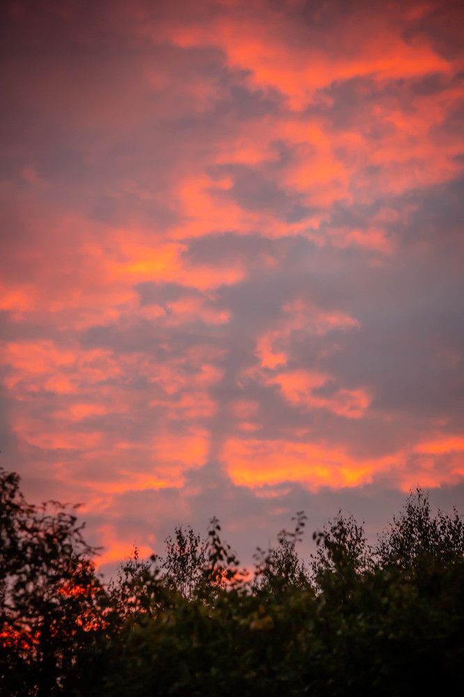 Photograph by Ольга Сафронова