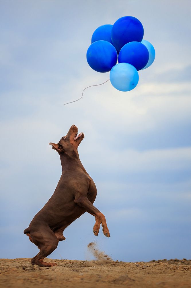 Photograph by Ольга Легенькая