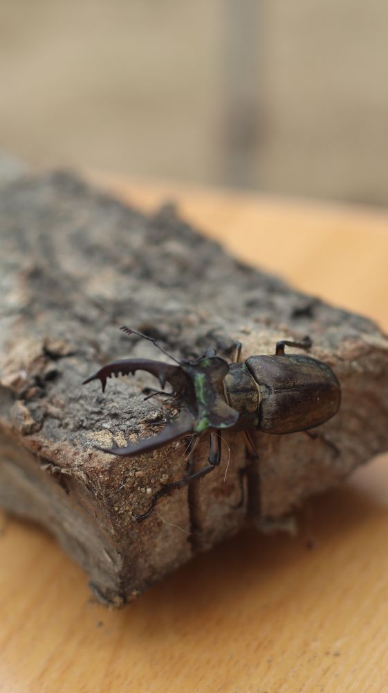 Photograph by Алексей Зудин