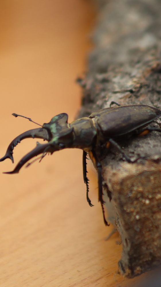 Photograph by Алексей Зудин