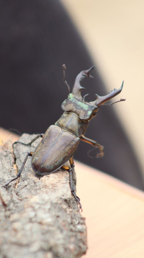 Photograph by Алексей Зудин