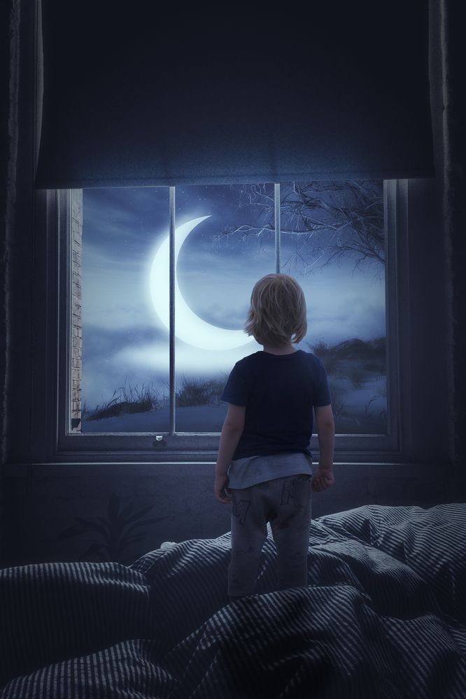 Фотография автора Sergii Vidov