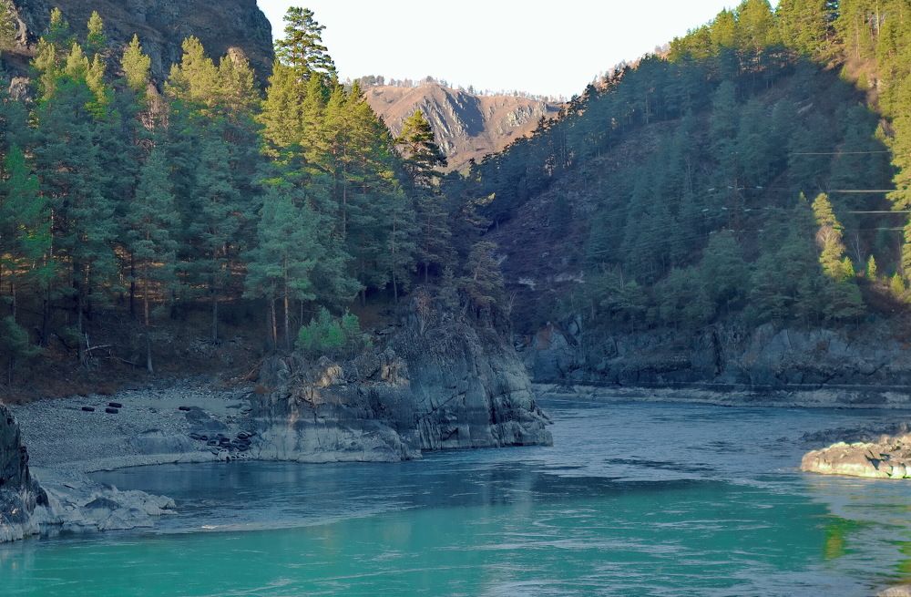 голова дракона