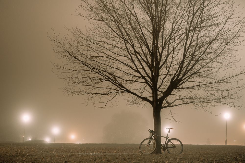 Photograph by Максим Светличный