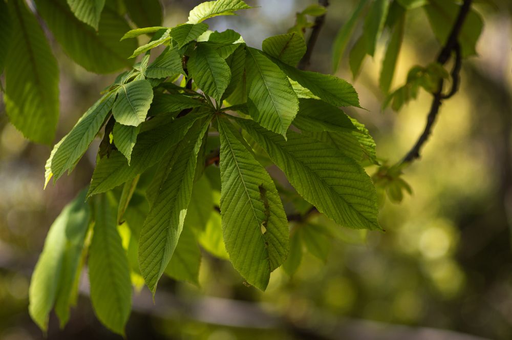 Photograph by Дмитрий Цикин