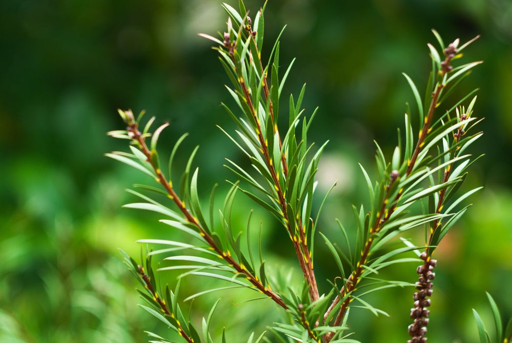 Photograph by Дмитрий Цикин