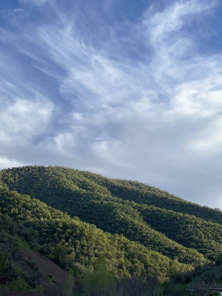 Photograph by Sahand Salmanian