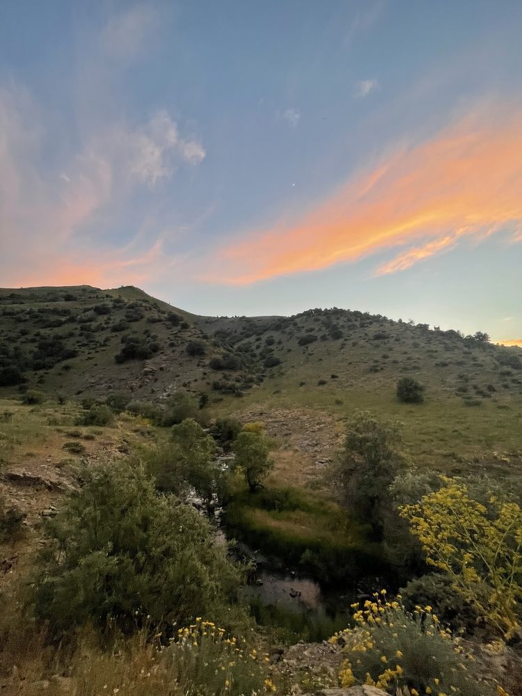 Photograph by Sahand Salmanian