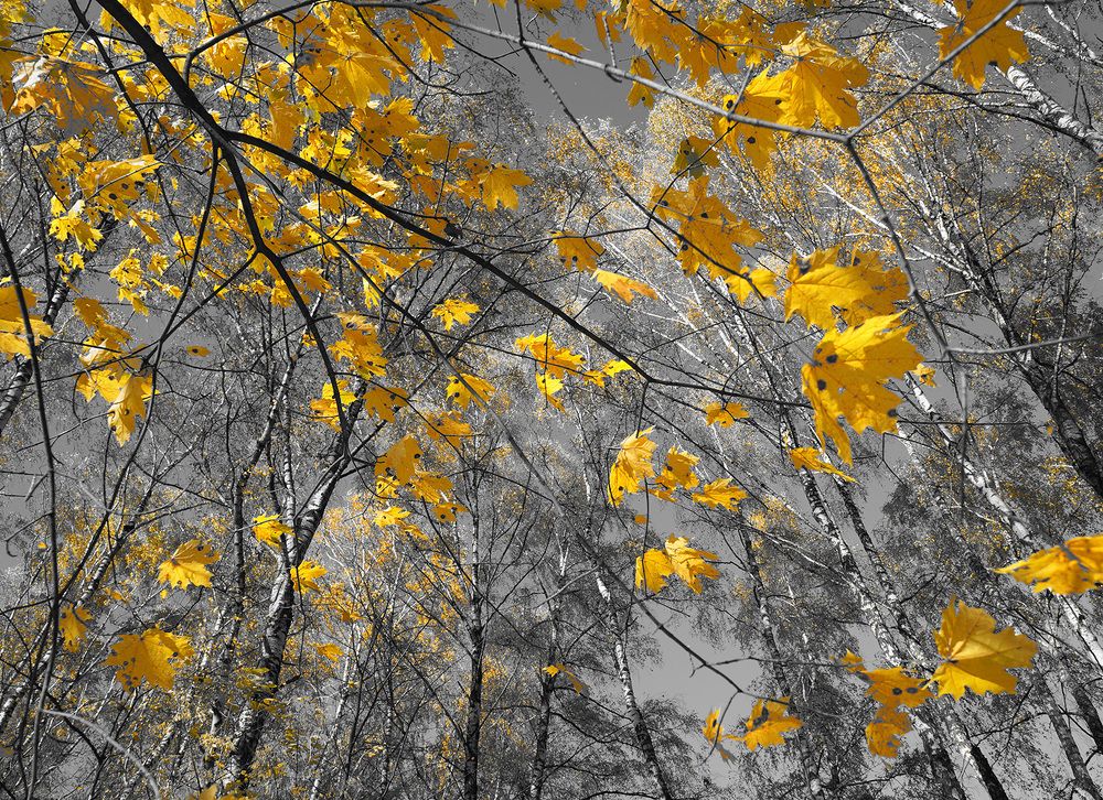 Photograph by Вячеслав Швецов