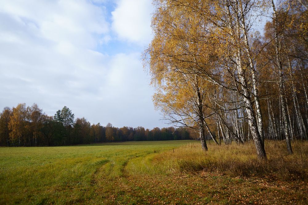Photograph by Вячеслав Швецов