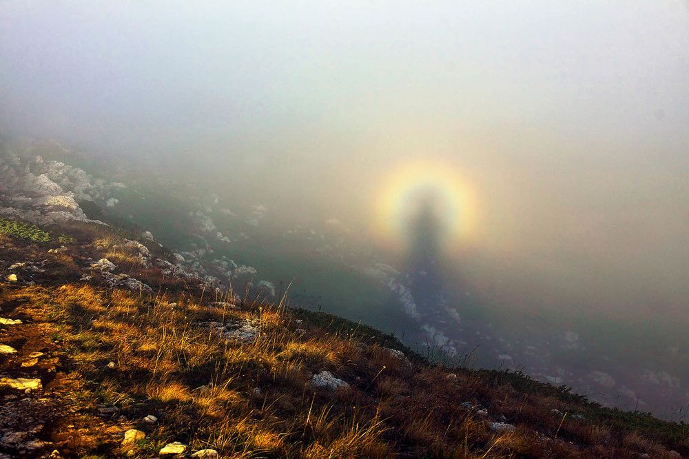 Photograph by Михаил Баевский