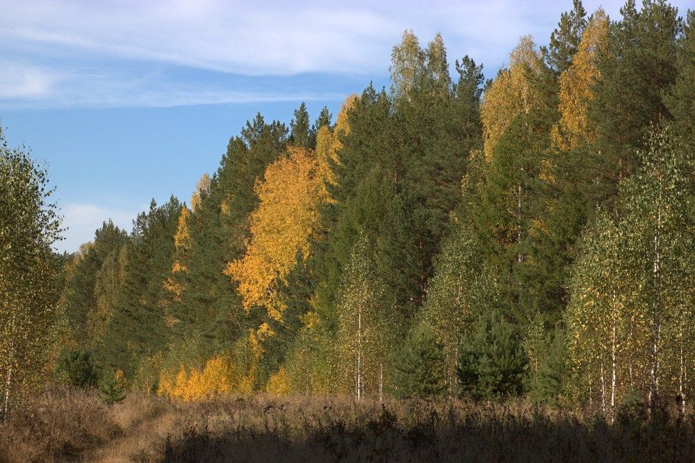 Photograph by Махлай Наталья