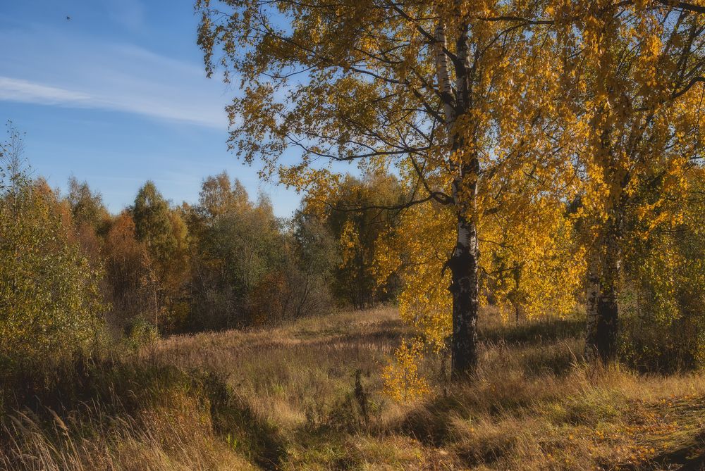 Photograph by Cергей Черныш