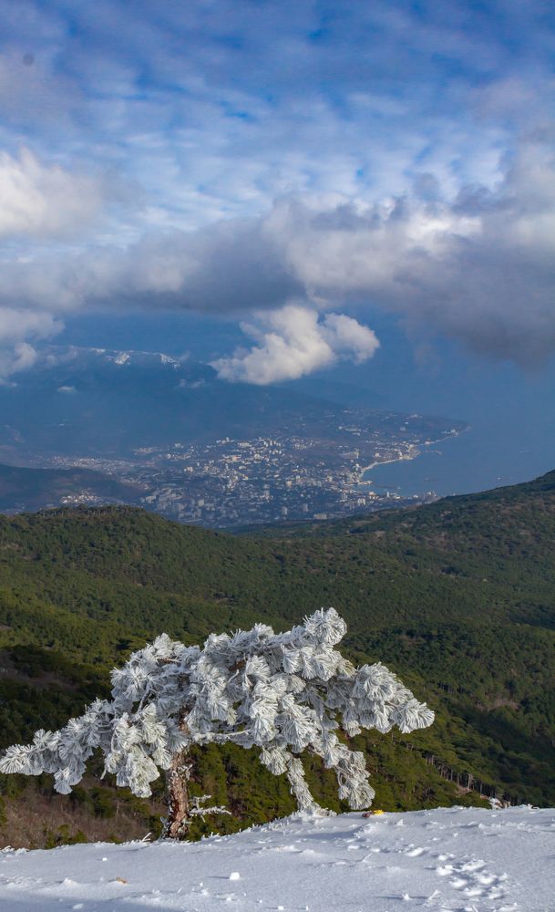 Photograph by Ирина Крепак