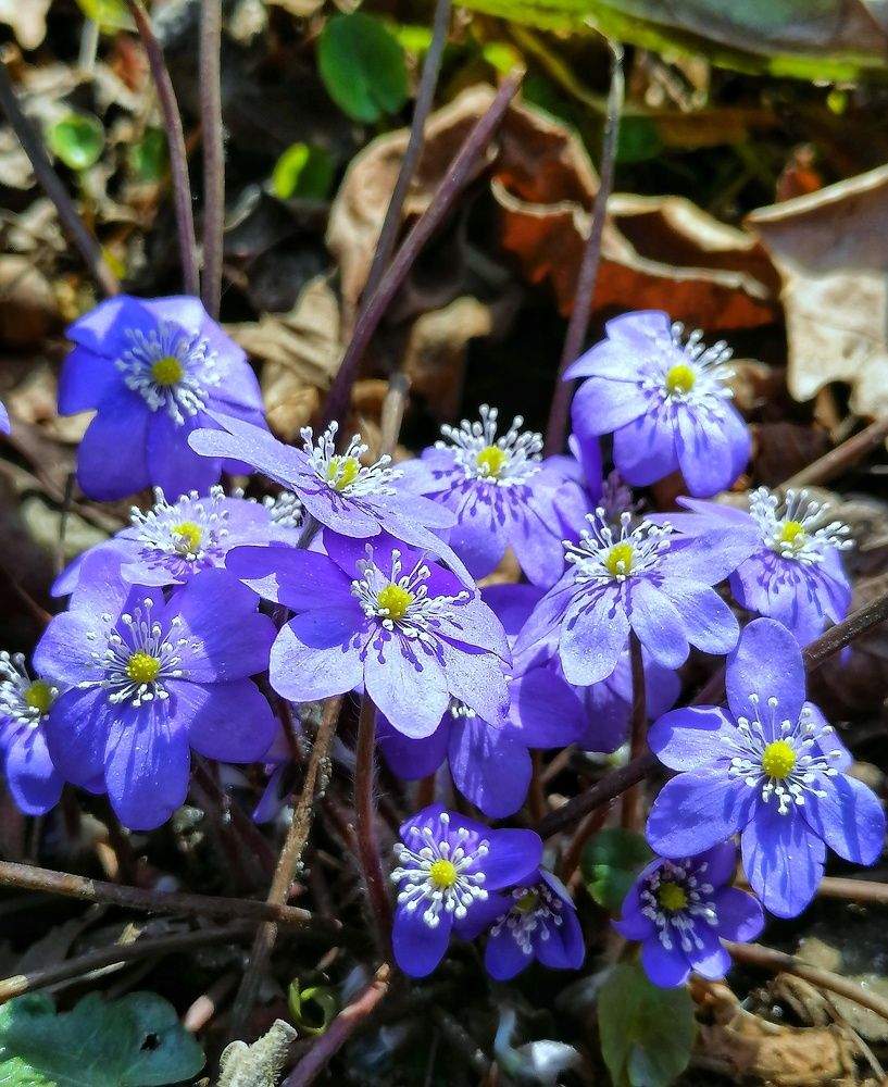 Photograph by Лилия Багдасарова