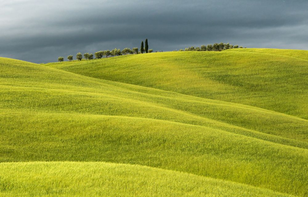 Spring, Val_d'Orcia (Italy)