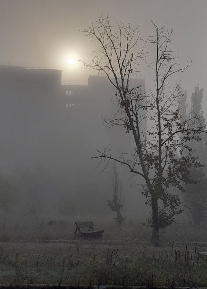 Утро туманное, утро седое...