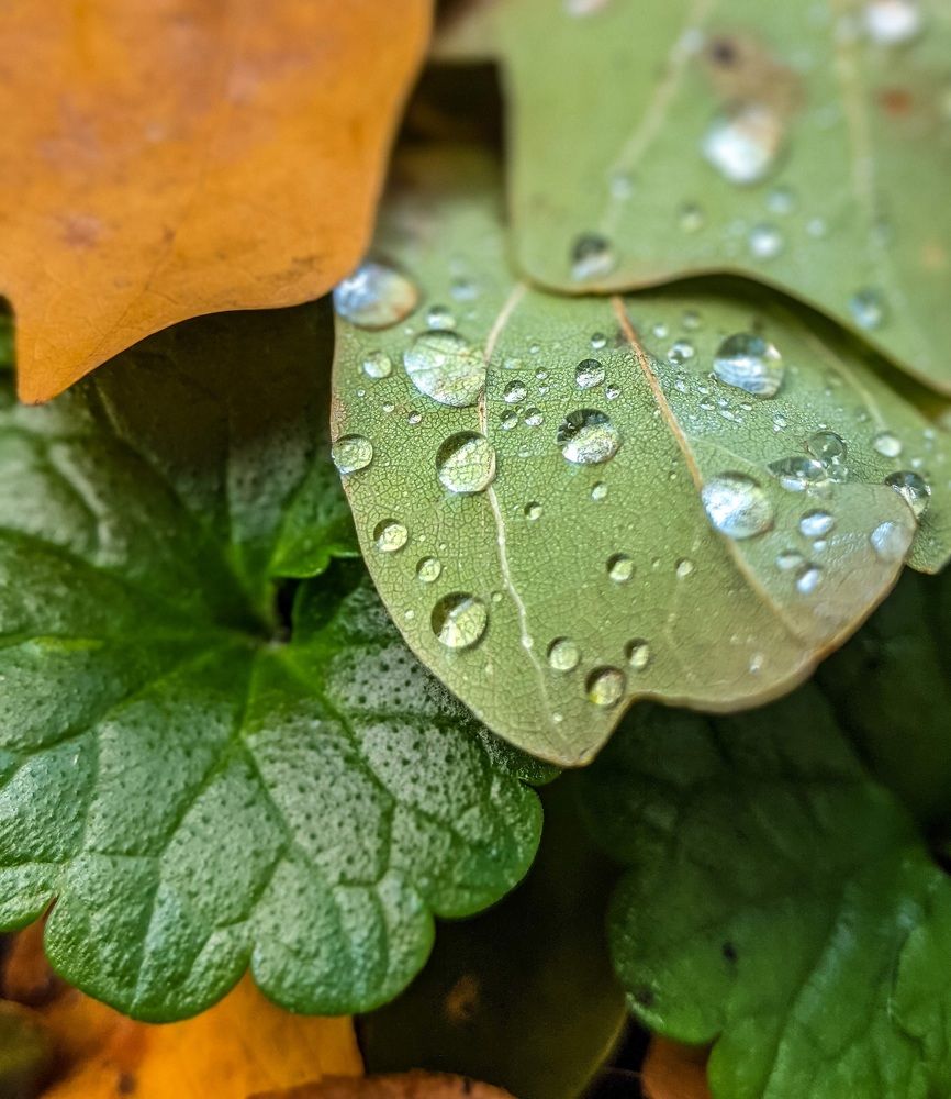 Фотография автора Ксения Шляйхер