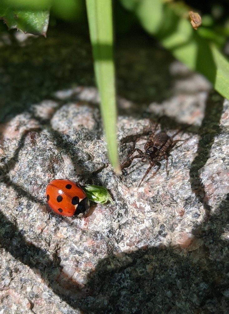 Фотография автора Ксения Шляйхер