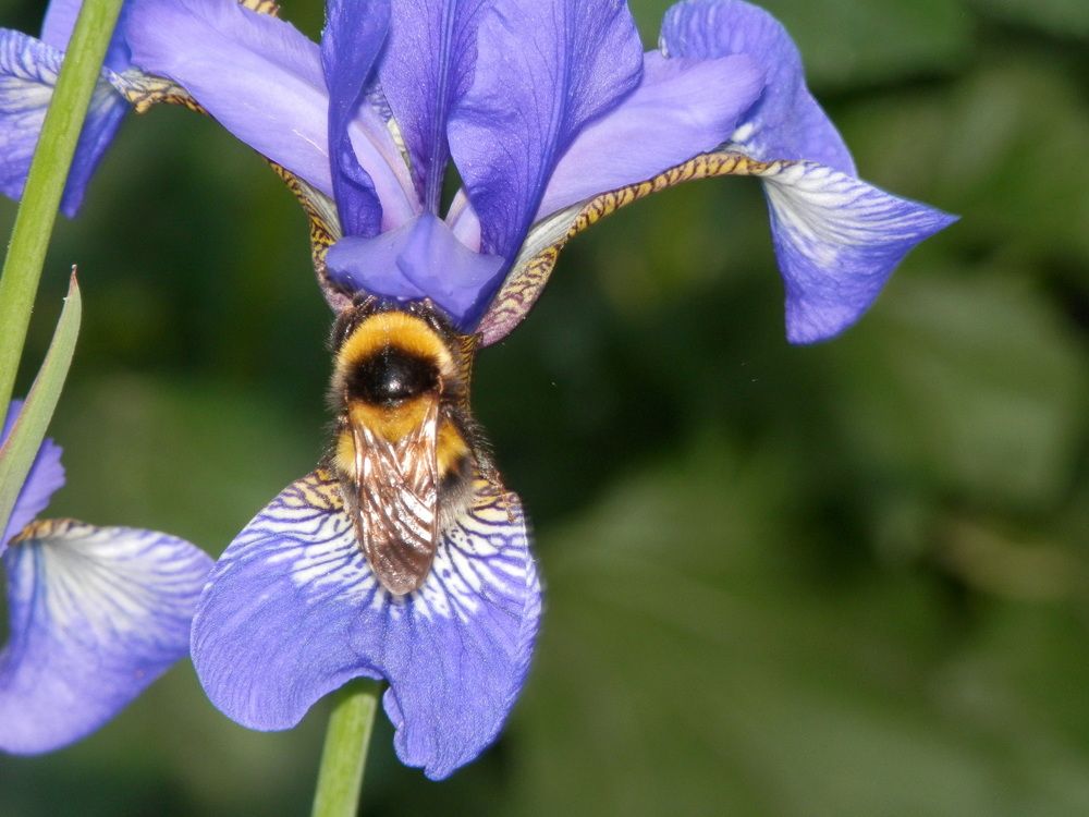 Photograph by Георгий Салюков