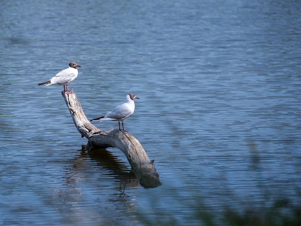 Photograph by Павел Крылов