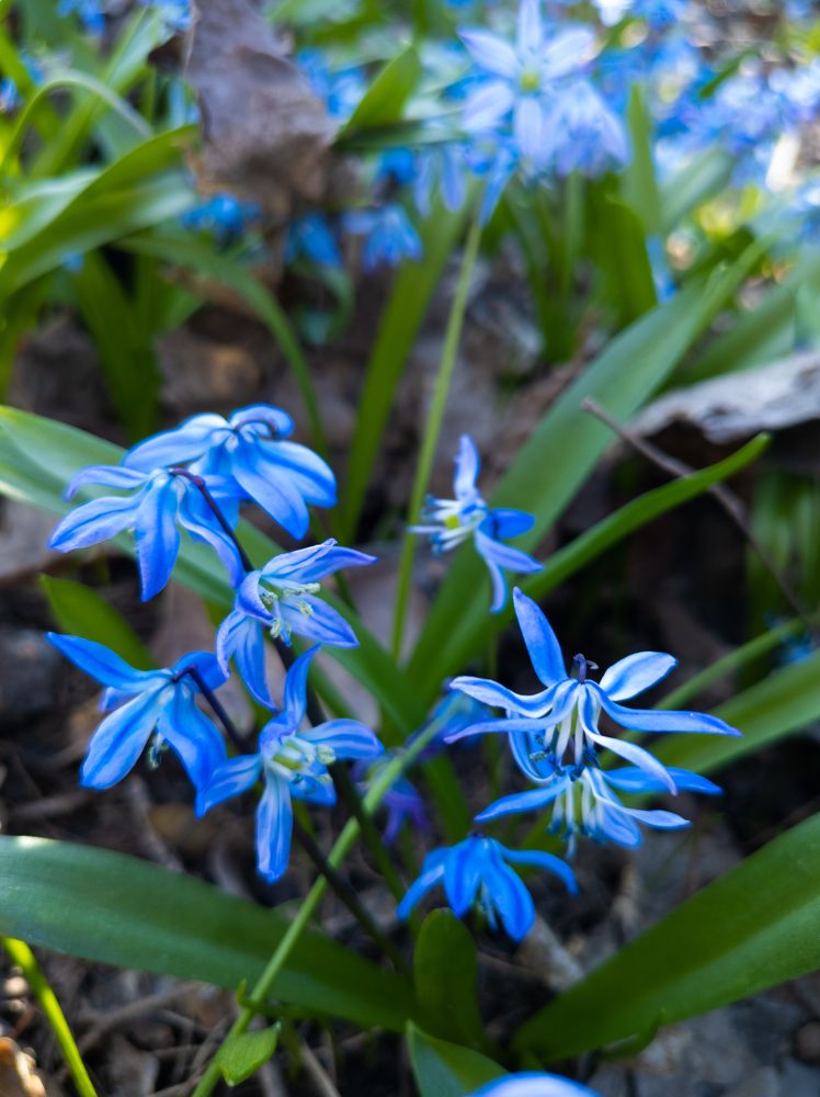 Фотография автора Тамара Нижельская