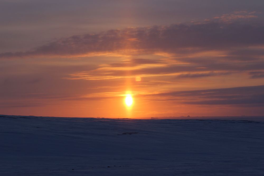 Фотография автора Данил Рейх