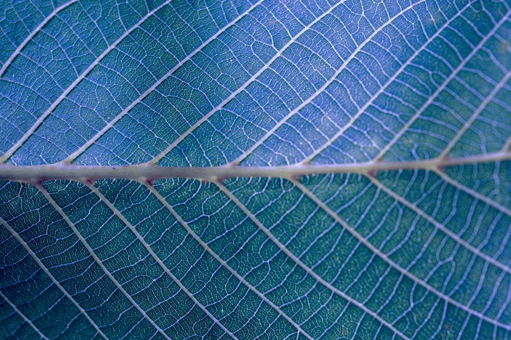 Photograph by Хисматулин Ренат