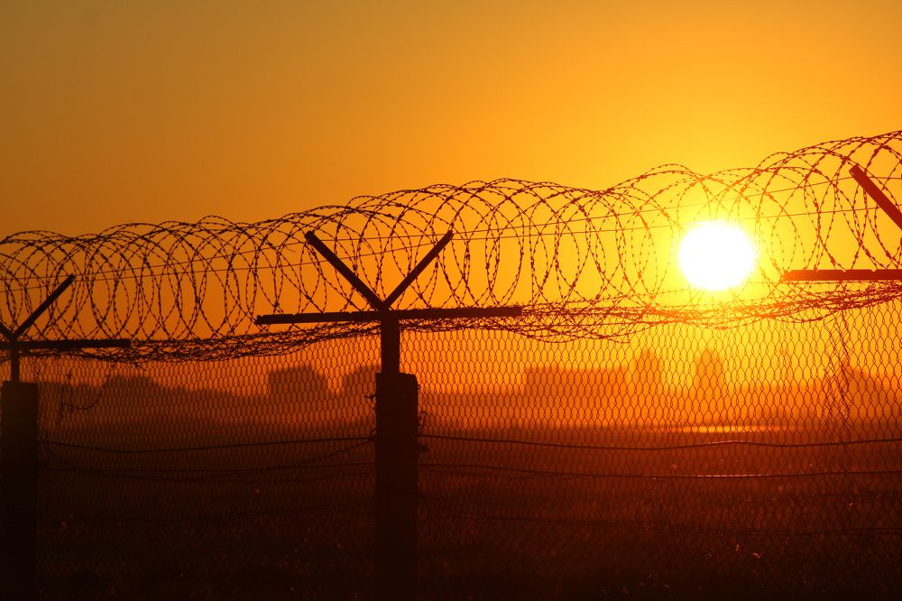 Photograph by Свалова Наталья