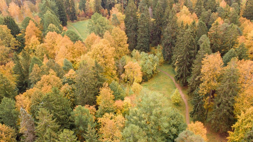 Фотография автора Яна Романова