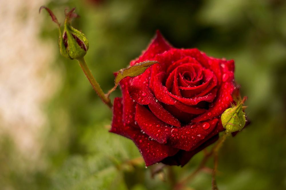 Photograph by Павел Крылов