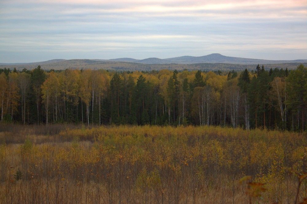 Photograph by Махлай Наталья