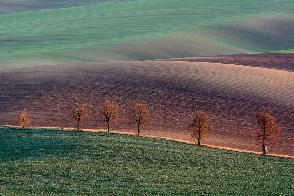 Photograph by Zaiga Steina