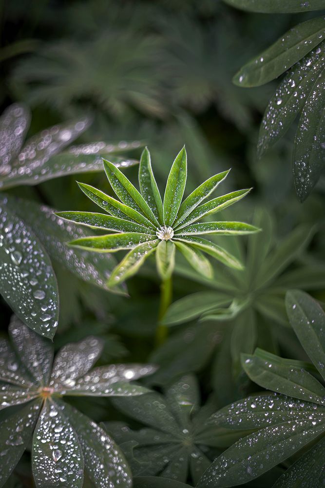 Фотография автора Ольга ЯR