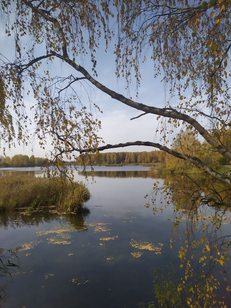 Photograph by Елена Смирнова