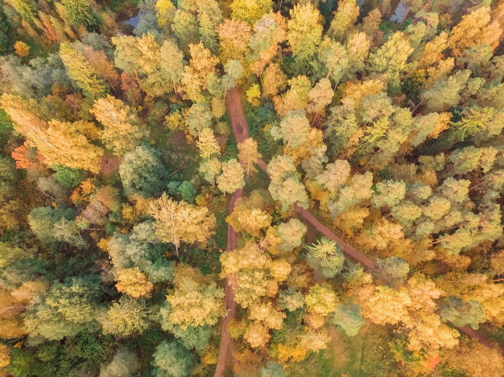 Фотография автора Яна Романова