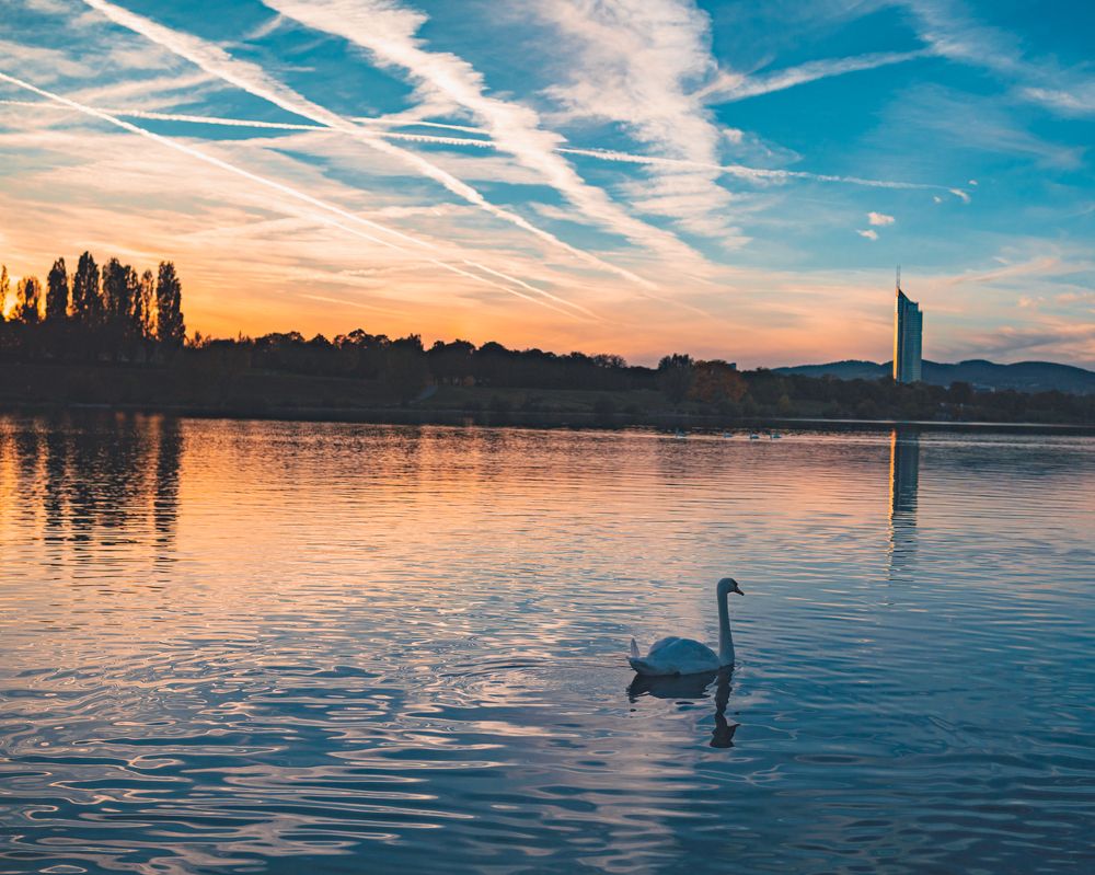 Фотография автора Ankit Gupta