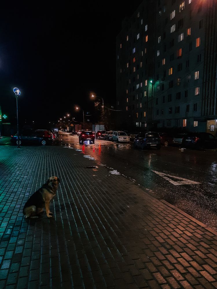 Photograph by Djilma Dark