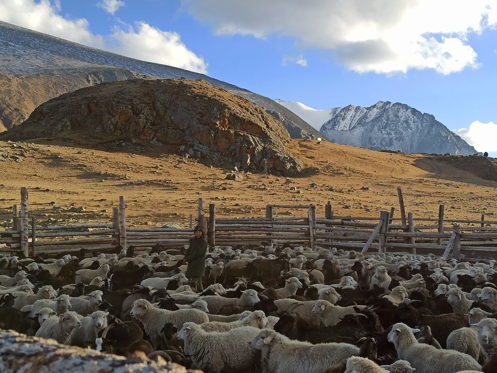 Photograph by Людмила Фурсова