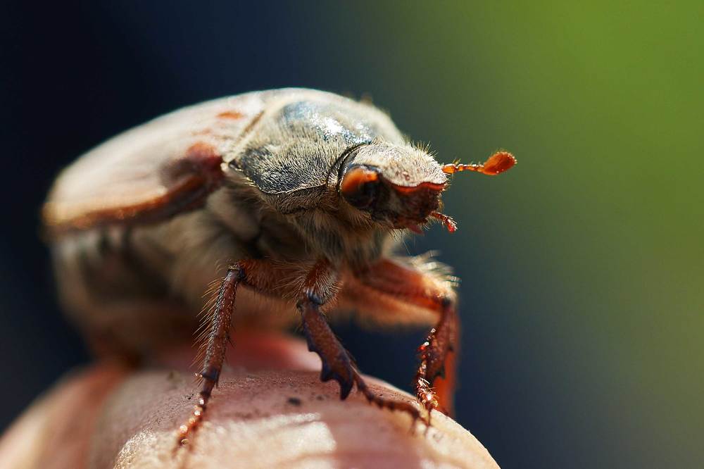 Photograph by Орловский Сергей