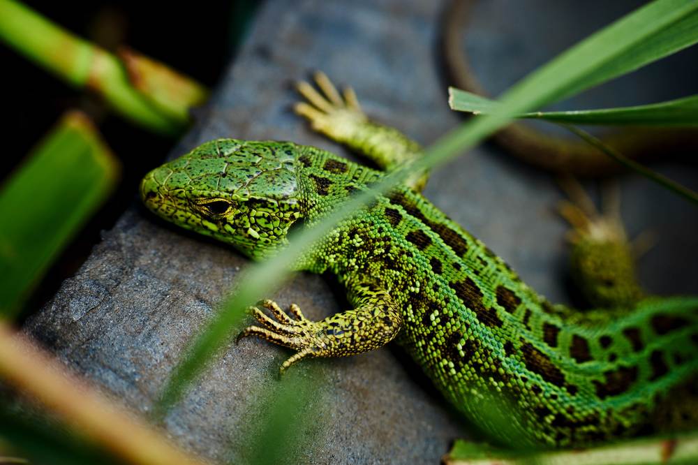 Photograph by Орловский Сергей