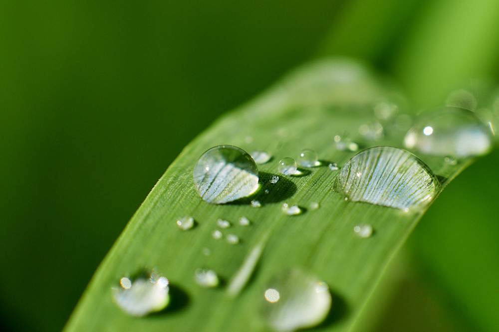 Photograph by Орловский Сергей