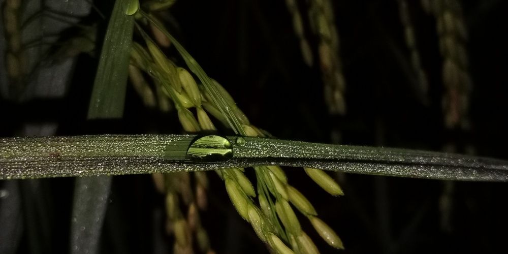 Фотография автора Abir Duley