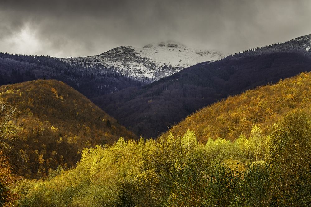 Photograph by Ivars Salmanis