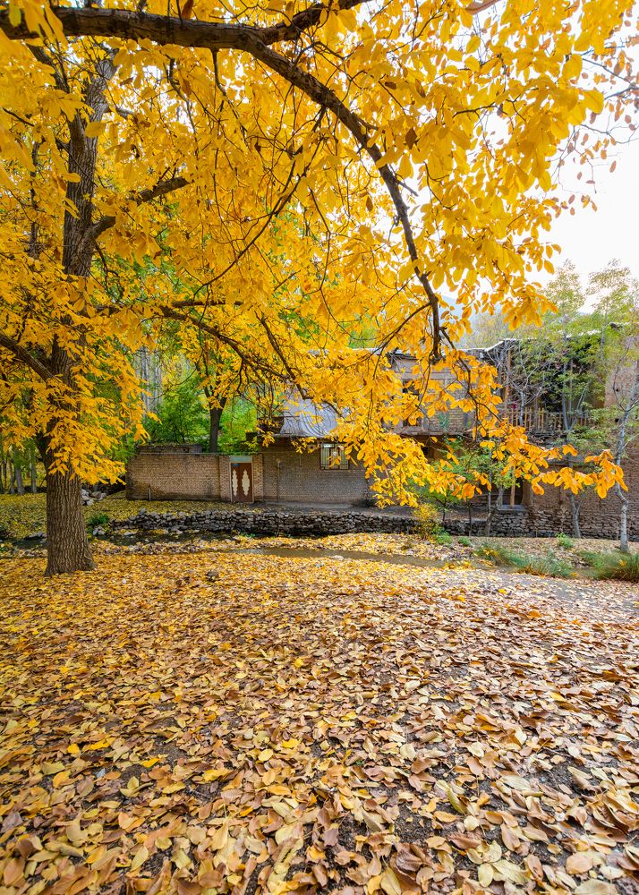 Photograph by masoud haghani