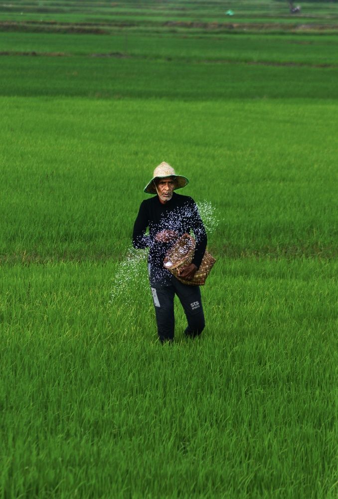 Photograph by Nusky Ahamed