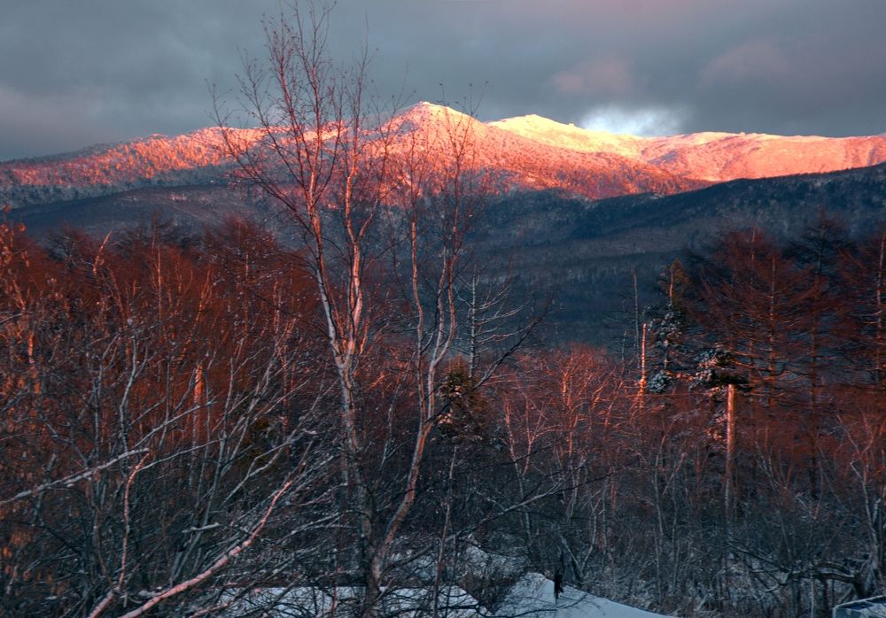 Photograph by roman pushkin