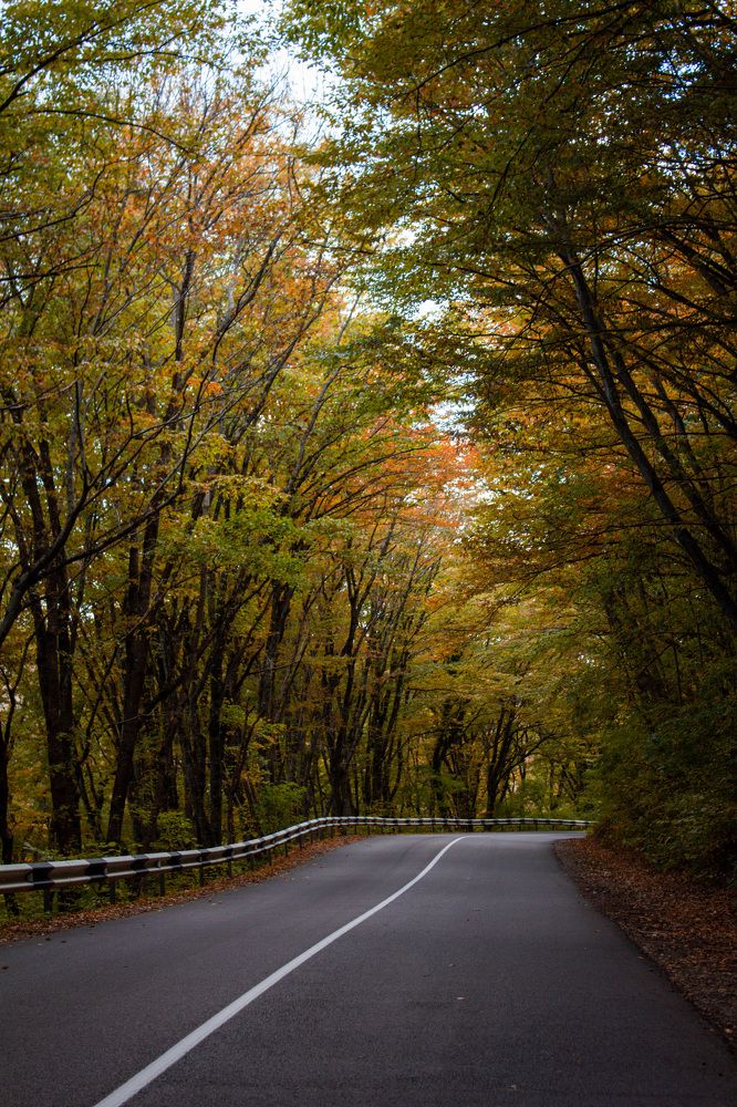 Photograph by Екатерина Талалай