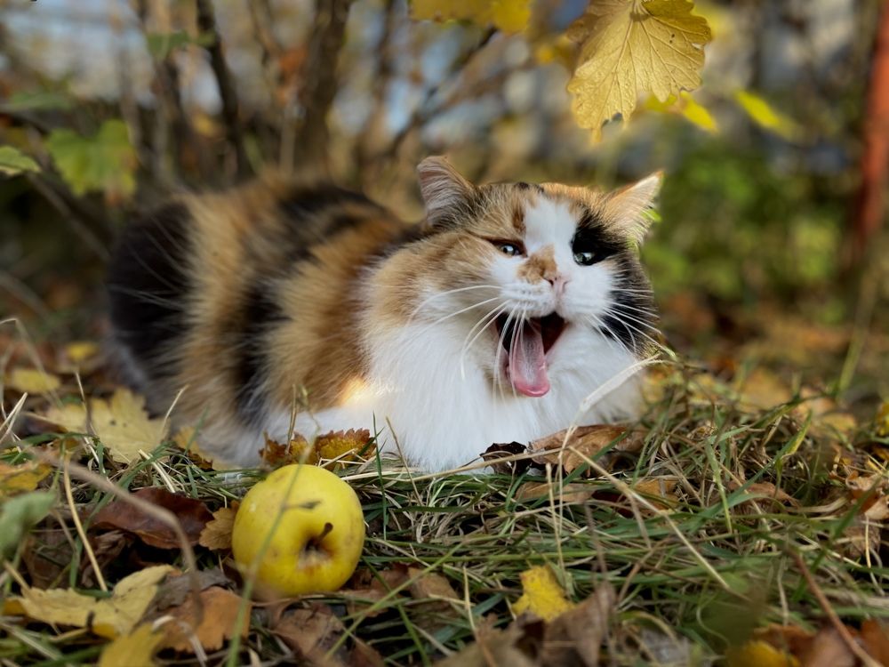 Photograph by Маша